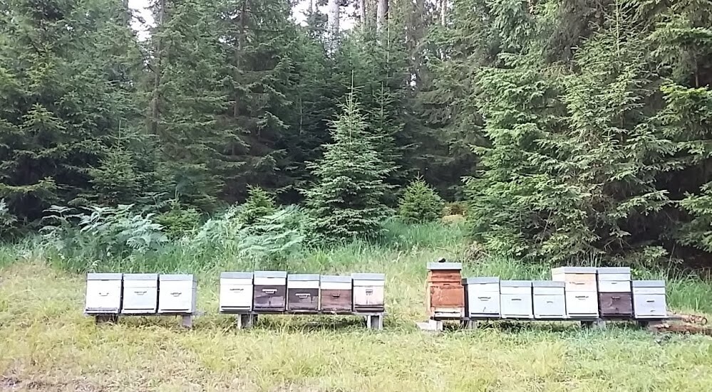 Apiculture